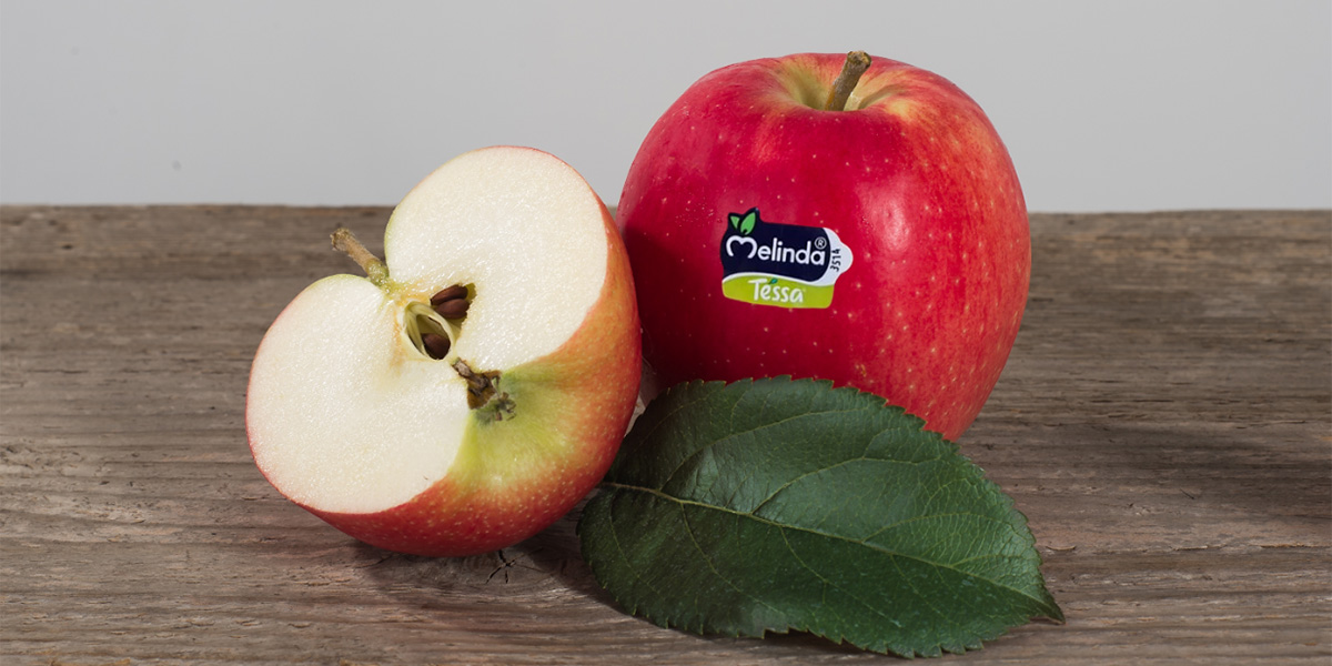 Scatta la campagna Melinda Tessa®